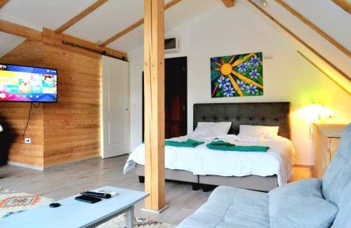 Zavoi Apartment | Vila Eruga- Apartament 3