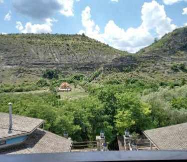 Butuceni Hotel | Vila Etnica