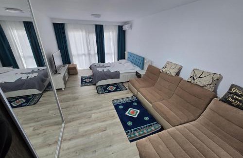 Murighiol House | Vila Flavius