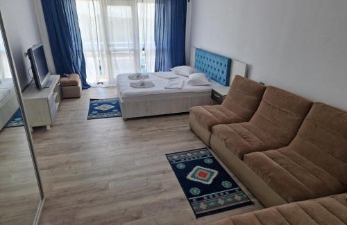 Murighiol House | Vila Flavius