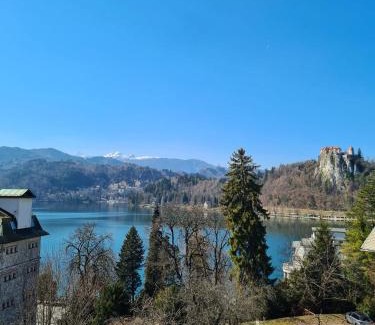Bled House | Vila Gorenka