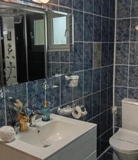 Busteni House | Vila Iulia Busteni