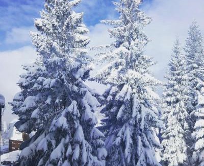 Jahorina Apartment | Vila Jahor Apartmani Dis 7 i 8