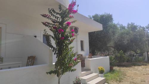 Ksamil House | Vila Juna