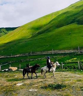 Zhibiani House | Vila Latphari in Ushguli