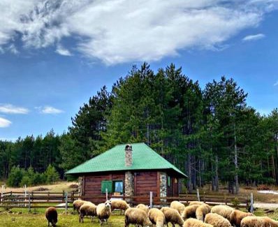Zlatibor House | Vila Mali Tornik