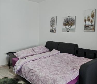 Banja Luka Apartment | Vila Nika