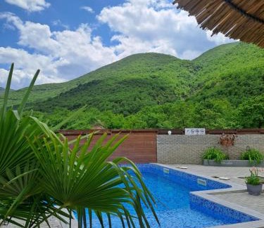 Demir Kapija House | Vila NIKOLA