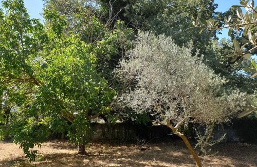 Armenoi Villa | Vila Pasiphae