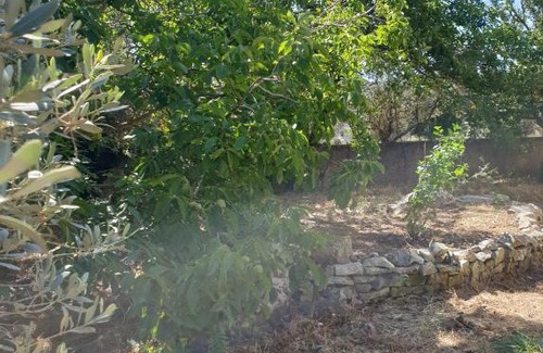 Armenoi Villa | Vila Pasiphae