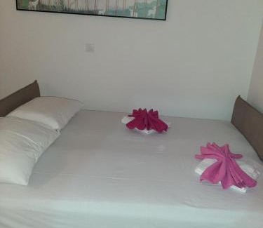 Susanj Apartment | Vila POGLED