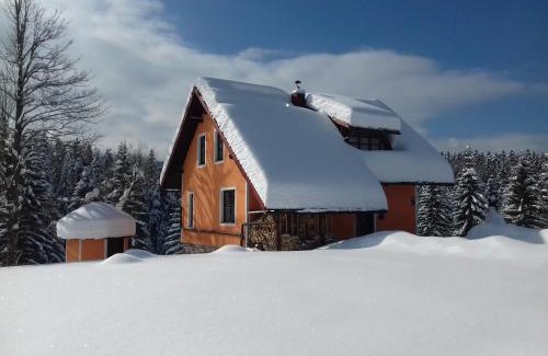 Cabar Ski Chalet | Vila Snjeguljica