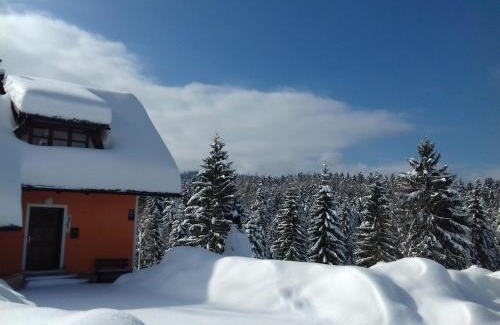 Cabar Ski Chalet | Vila Snjeguljica