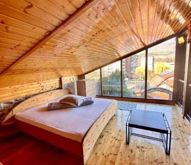 Lupeni Villa | Vila Splendid