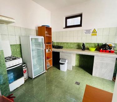 Caciulata House | Vila Themis