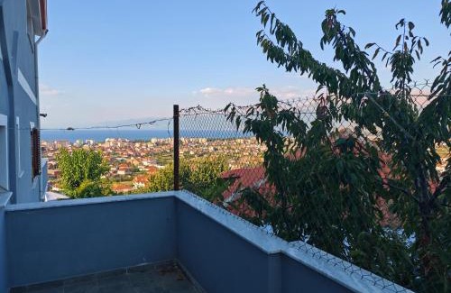Pogradec House | Vila Topalli
