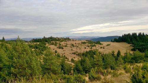 Zlatibor Ski Chalet | Vila ZLATNI BOR