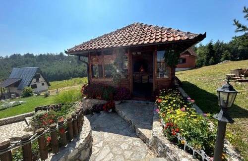 Zlatibor Apartment | Vila Zorica Vodice