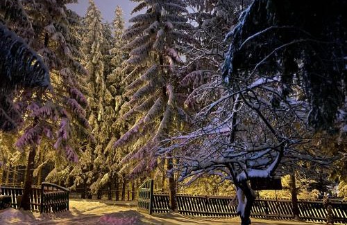 Poiana Brasov House | Vila Zorile