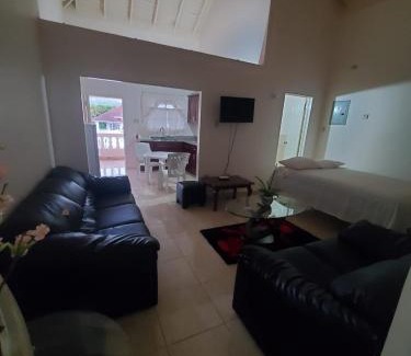 Discovery Bay Apartment | Vilagio Villa