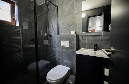 Cavnic House | Vilele SuperSki