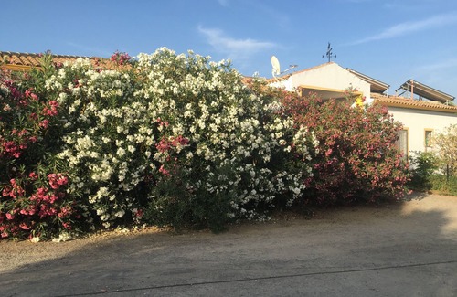 Villamartin House | Villa écologique las gateras