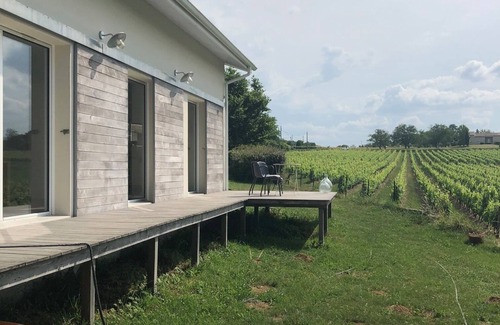 Cenac House | Villa 15minutes from Bordeaux with swimming pool in the middle of the vineyards.