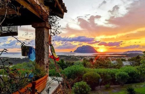 Porto San Paolo Bed & Breakfast | Villa Acchiappasogni