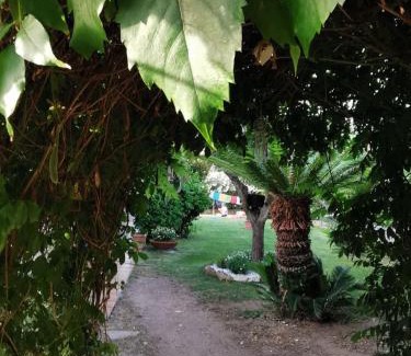 Porto San Paolo Bed & Breakfast | Villa Acchiappasogni