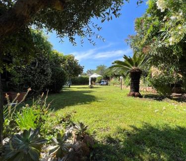 Porto San Paolo Bed & Breakfast | Villa Acchiappasogni