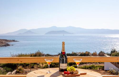 Stelida Villa | VILLA AGAPITOS