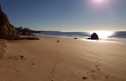 Portimao Bed & Breakfast | Villa Alcaide