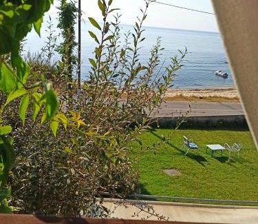 Lefkippos Villa | Villa Alexander