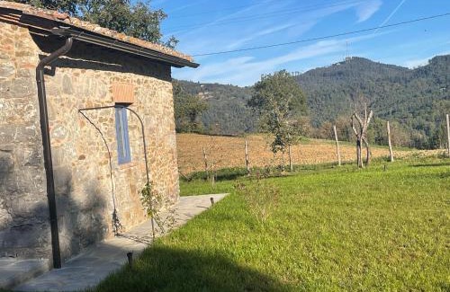 Rosennano Villa | Villa AltoGiardino Chianti Senese