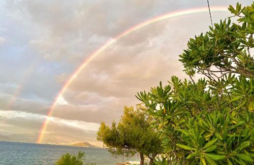 Municipality of Trogir Apartment | Villa Amica
