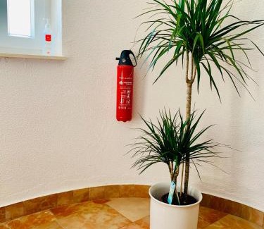 Municipality of Trogir Apartment | Villa Amica