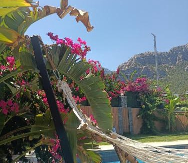 Goynuk Villa | Villa Anı