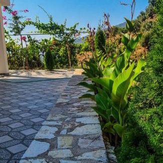 Lukove Villa | Villa Anemos