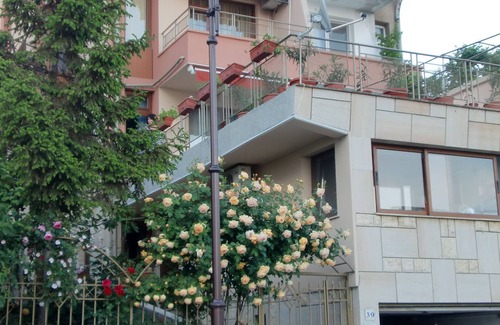 Sveti Vlas Villa | Villa “ani” Sveti Vlas Bulgarian Black Sea Coast Open may to october