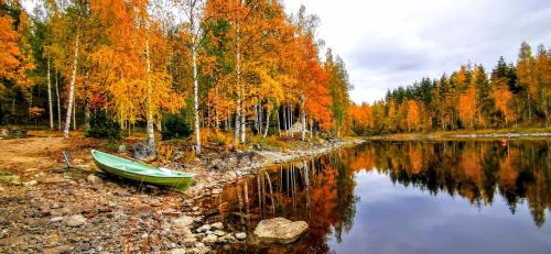 Savonlinna Ski Chalet | Villa Ankkuri