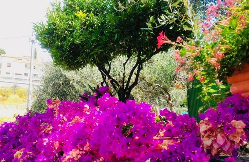 Poggi Villa | Villa Anna sea and hills view with garden, solarium, jacuzzi, patio, BBQ