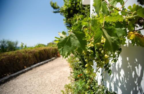 Gardenos House | Villa Anneta