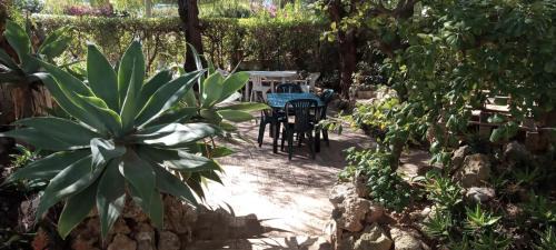 Vilamoura House | Villa Arcadas de Moura