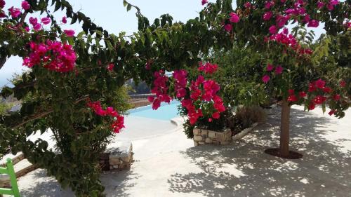 Piso Livadi House | Villa Armonia