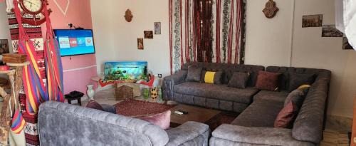 Shabikah Villa | Villa Atlas Oasis