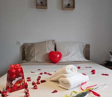 Cornebarrieu Apartment | Villa avec baignoire balnéo véranda & jardin