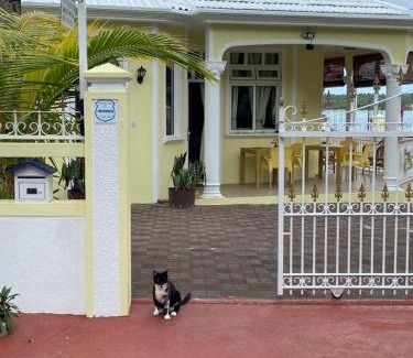Blue Bay House | Villa Bella Charming Beachfront Guesthouse