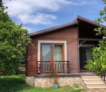 Cirali Resort | Villa Bilge