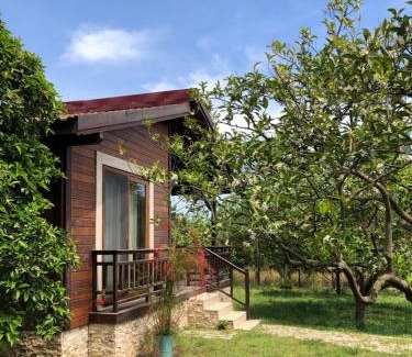Cirali Resort | Villa Bilge