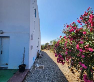 Hjar Ennhal Villa | Villa BleuBlanca Tangier